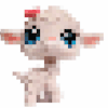 ꕤ┇TikTok